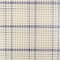 Zweigart® Blue Checked 3.75" Mesh Rug Canvas, 60" x 10yd.